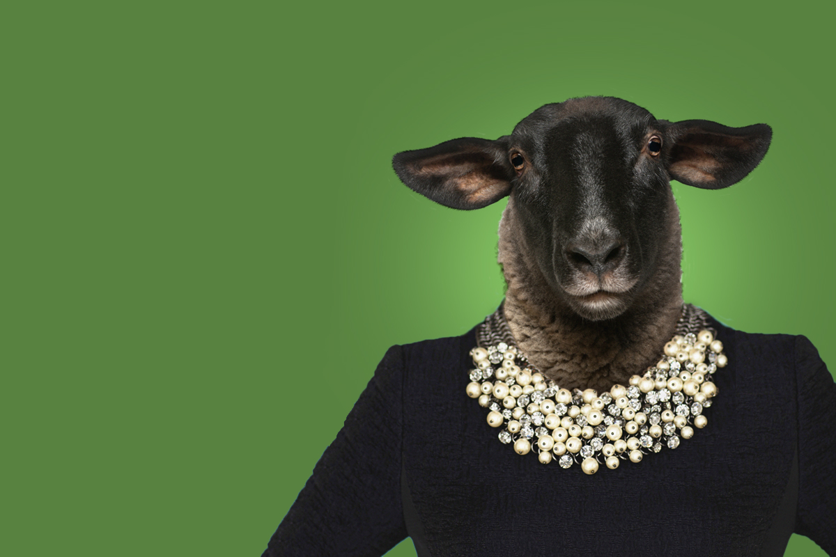 Notre Histoire Le Mouton Noir